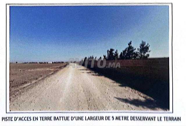 Terrain titré, idéal exploitation/placement - 2