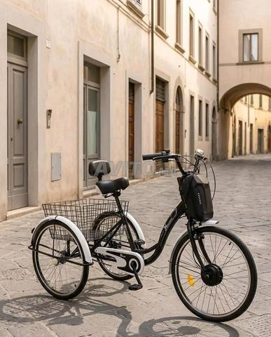 Vélo électrique et à pédales à trois roues - 2
