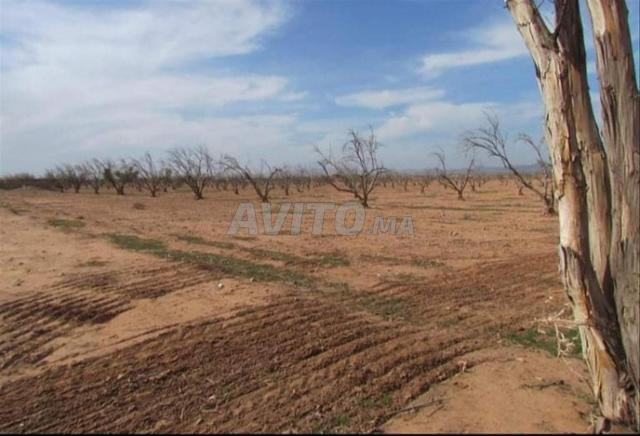 terrain agricole - 2