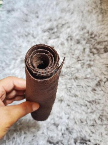 وثيقة يهودية قديمة - 2