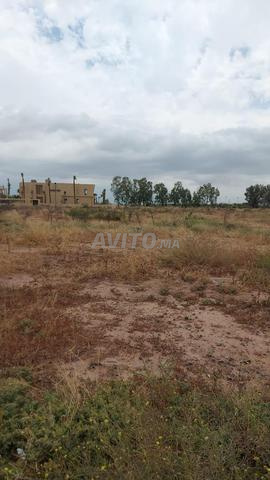 Terrain titre 1450m2 4 façades vue Atlas Amizmiz - 2