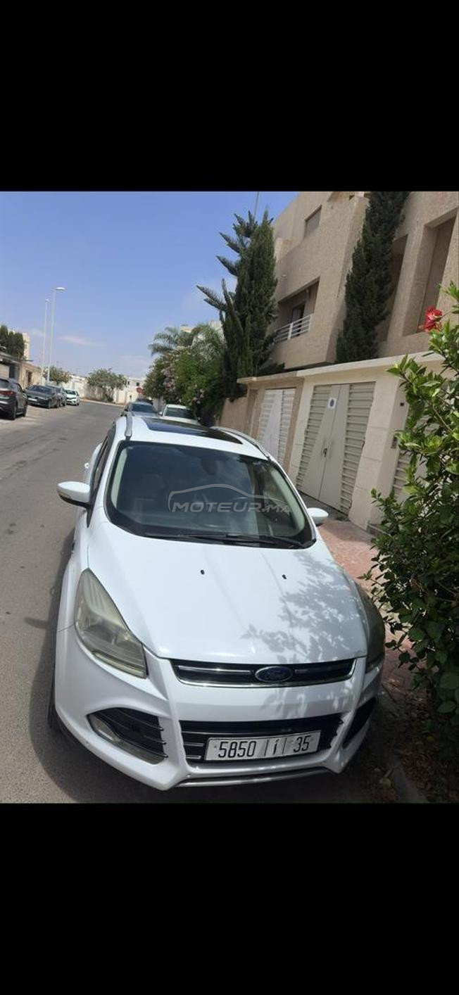 kuga tout option 