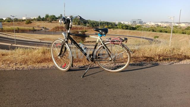 دراجة gazelle - 2