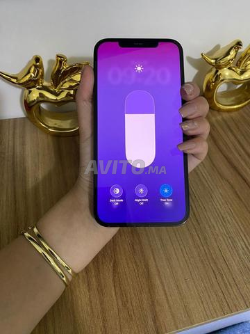 iPhone 12 Pro max bleu officiel - 2