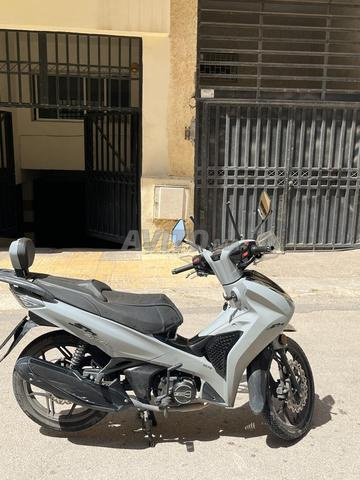 SH DAYTONA modèle 2025 - 2