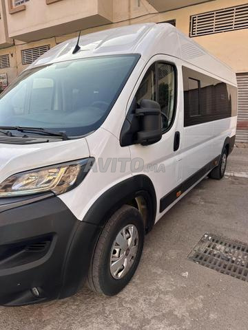 Fiat Ducato 2024 Transport Touristique