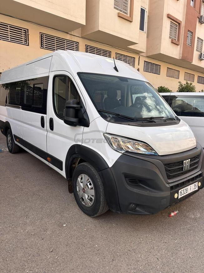 Fiat Ducato 2024 Transport Touristique 