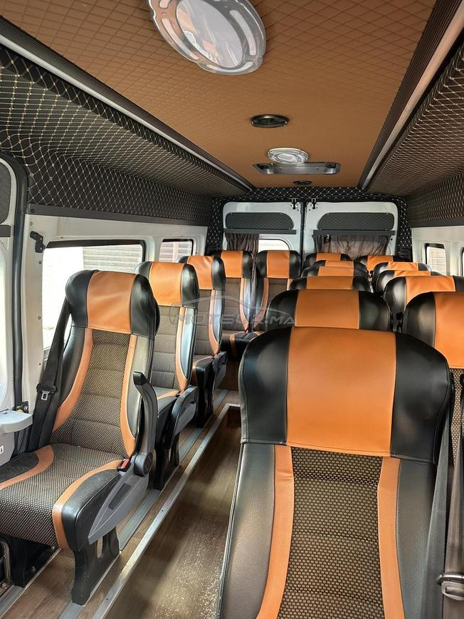 Fiat Ducato 2024 Transport Touristique 