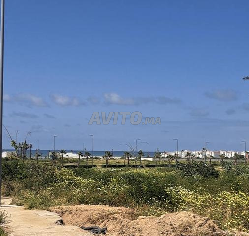 Lots de villas à vendre Ain Diab Extension