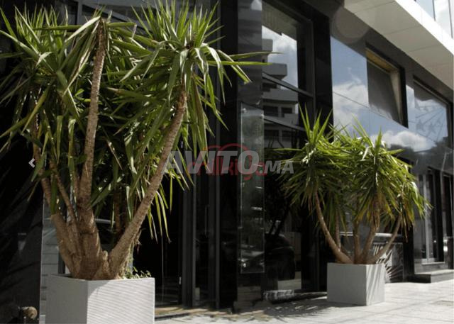Location Bureau 1 pièce de 183 m2 à Casablanca - 2