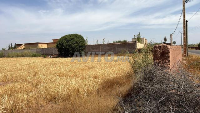Beau terrain 7000 m² titré à 20 km de Marrakech