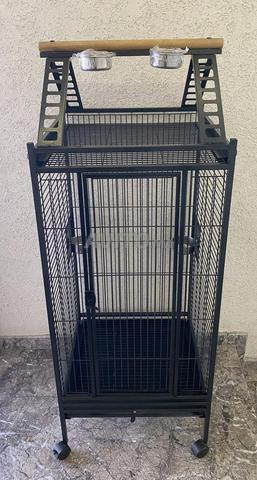 Grande et petite cage à oiseaux - 2