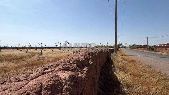 Terrain 15 000 m² titré à 20 km de Marrakech - 2