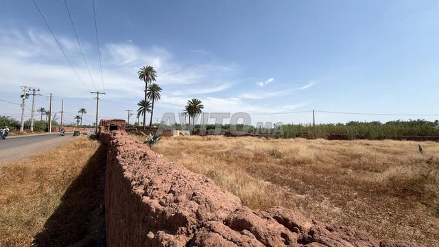 Terrain 15 000 m² titré à 20 km de Marrakech