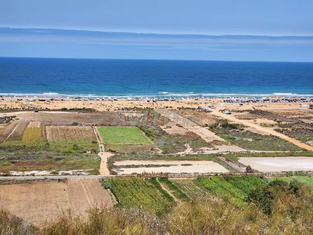 Terrain Zone Touristique - 2