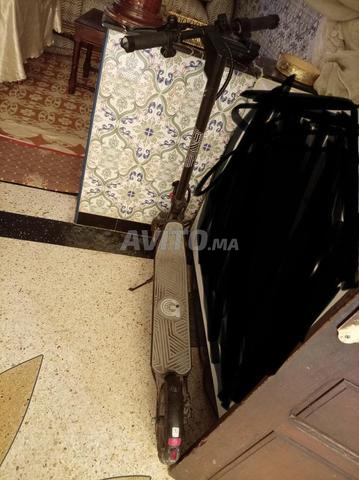 سكوترات للبيع - 2