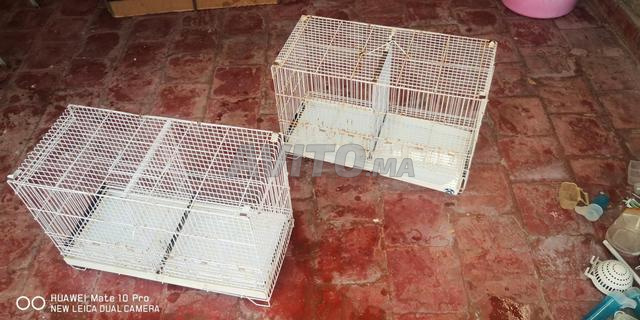 قفصان سباري للكناري والمقنين بطول 70 سم - 2