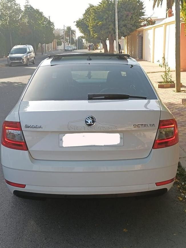الصويرة الصويرة