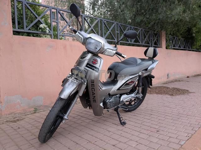 Super Cub Becane 110cc / 2019 / première main - 2