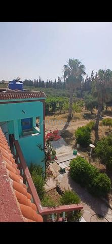 Ferme entièrement équipée à vendre – 31.162 m² – Province de Safi