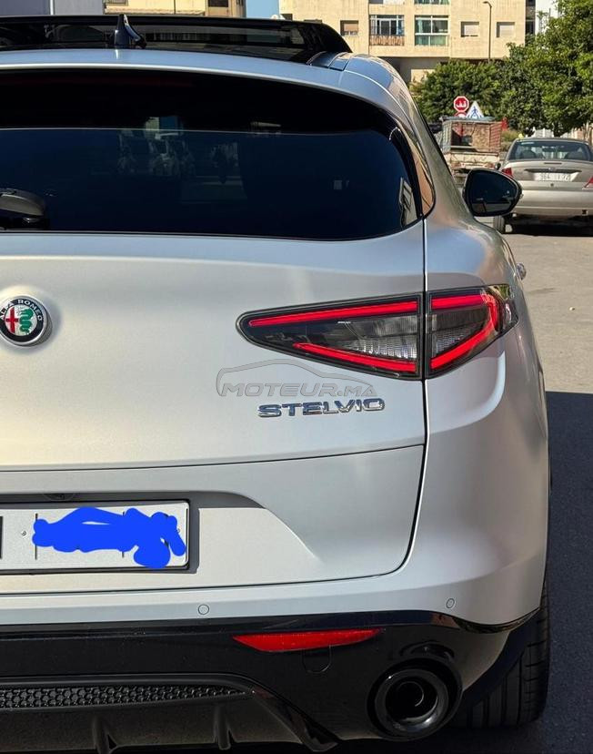 alfa romeo stelvio competizione