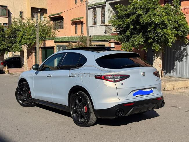 alfa romeo stelvio competizione