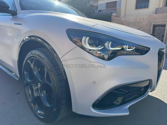 alfa romeo stelvio competizione