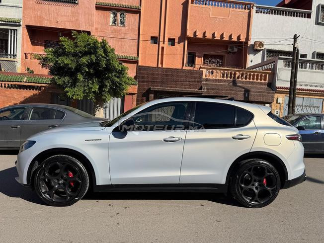alfa romeo stelvio competizione