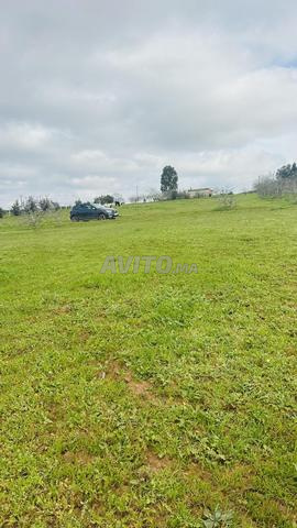 Terrain 2000m² à côté de la zone industrielle Ain Jouhara