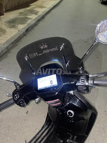 Moto Gamble - 2