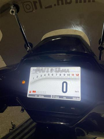 Moto Gamble - 2