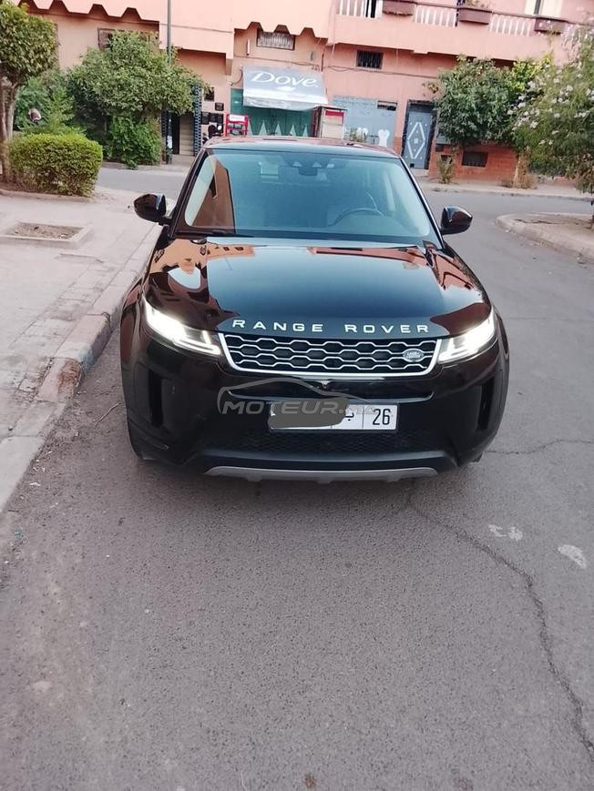 Bebe vêlâr 