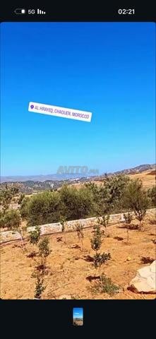 Chefchaouen Vivi - 2
