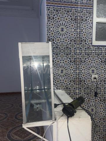 Aquarium à vendre avec beaucoup d'accessoires - 2