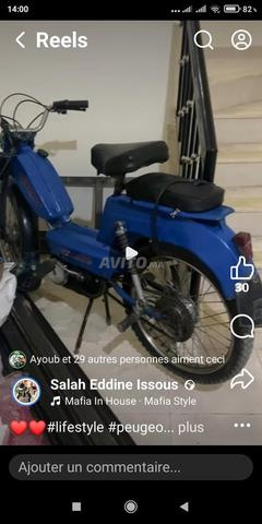 حي جوهرة سيدي قاسم