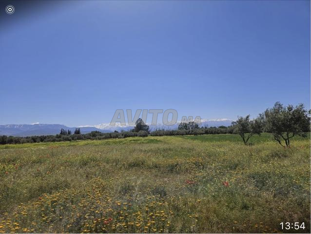 Terrain 5000m2 divisible - 2