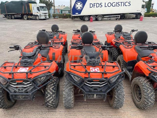 8 quad à vendre 300 xwolf