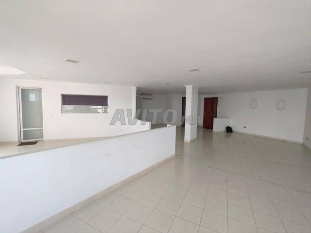 Bureau 105m² Les Princesses Bd Gandhi - 2