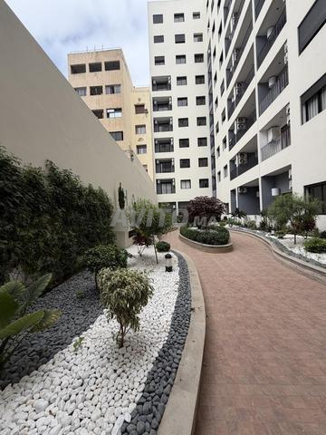 new living بلفدير - 2