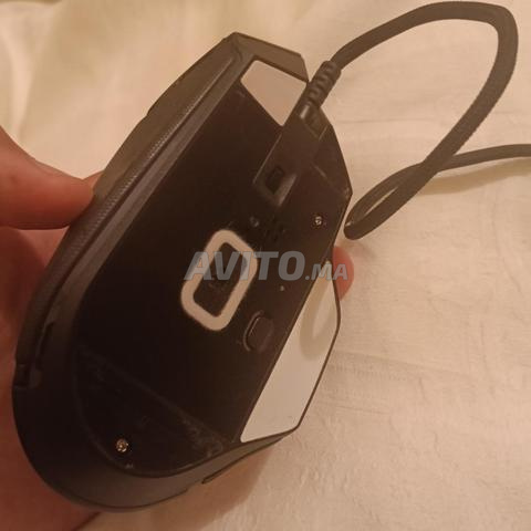 سوري وقوقة أوريجينال ب 250 سوري ريزن - 2