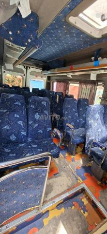 Transport scolaire Fiat Ducato Maxi 2011 - 2