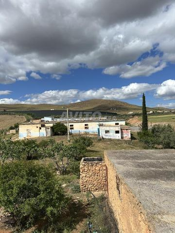Ferme à vendre à Ain Regrag 1,75 hectare