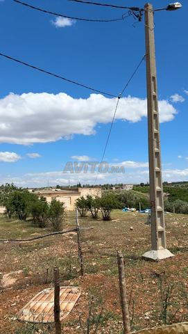 Ferme à vendre à Ain Regrag 1,75 hectare - 2