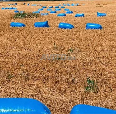 فرينة للبيع بالجملة - 2
