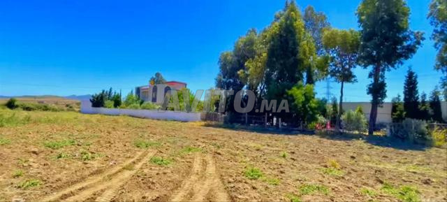 Maison avec terrain à vendre en forme de villa ou ferme