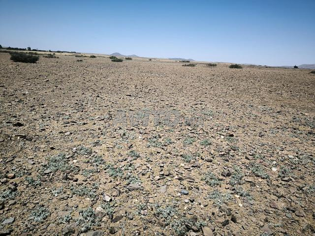 Terrain Salsala à vendre d'une superficie de 1 hectare sur la route principale