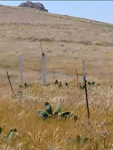 20 hectares agricole - 2