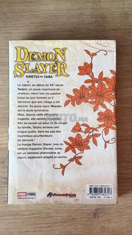 Démon Slayer Tome 1 - 2