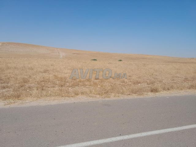 Terrain de 10 Hectares Titré à Vendre Youssoufia - 2