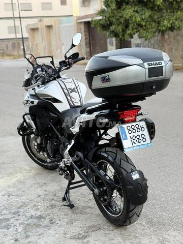 Benelli TRK 502X 2023 - 2